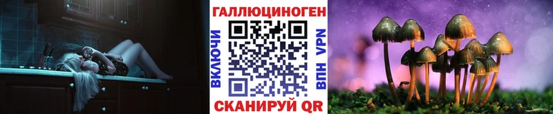 Купить  Нюрба  Галлюциногенные грибы Psilocybe 